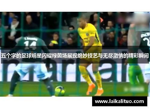 五个字的足球明星闪耀绿茵场展现绝妙技艺与无尽激情的精彩瞬间
